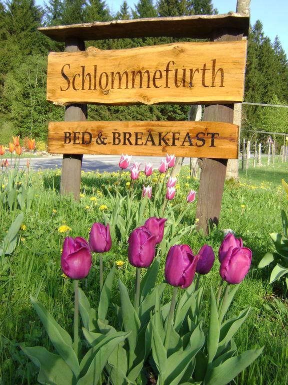 Bed & Breakfast Schlommefurth Bed & Breakfast St. Vith Dış mekan fotoğraf